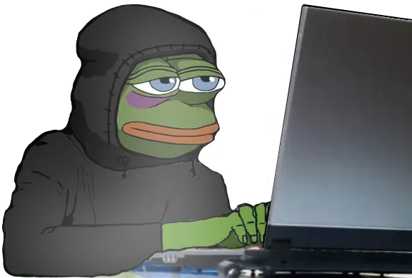 Pepe at the computer